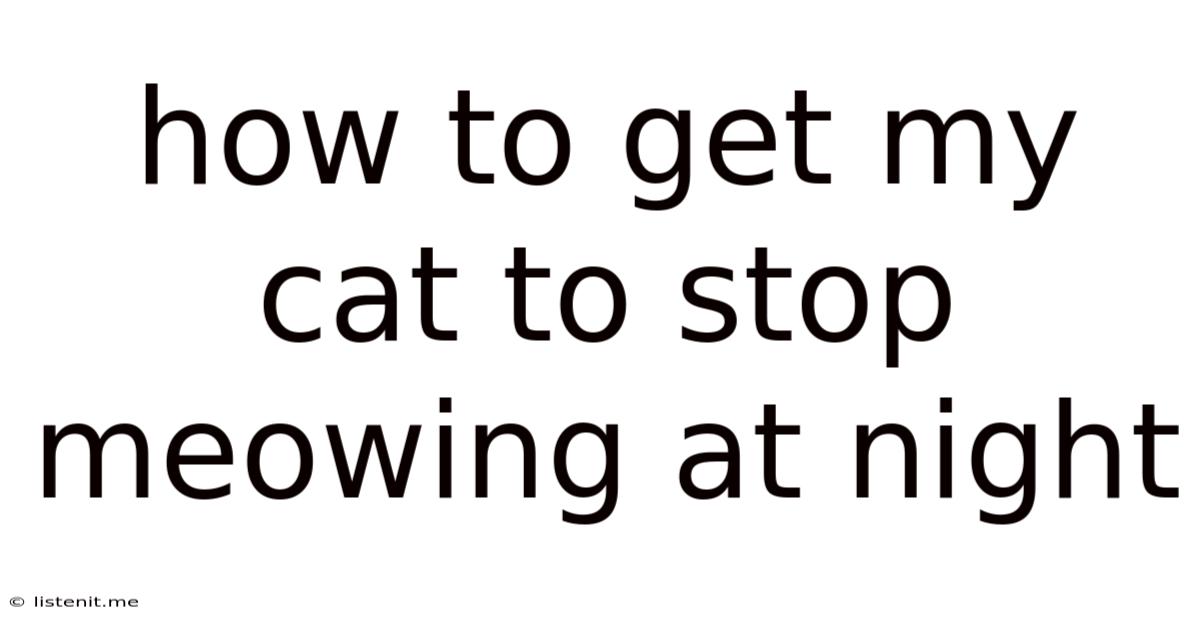 How To Get My Cat To Stop Meowing At Night