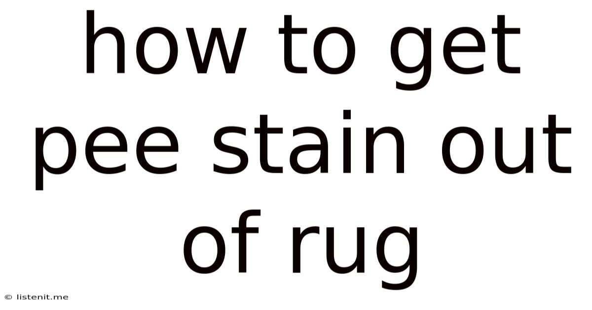 How To Get Pee Stain Out Of Rug
