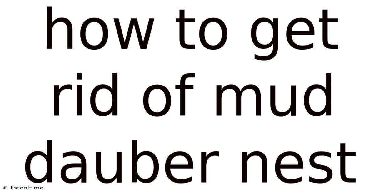 How To Get Rid Of Mud Dauber Nest