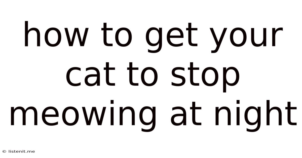 How To Get Your Cat To Stop Meowing At Night