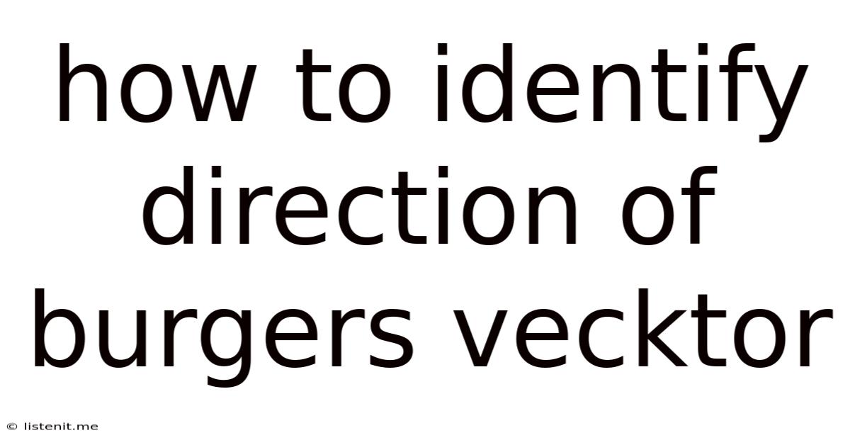 How To Identify Direction Of Burgers Vecktor