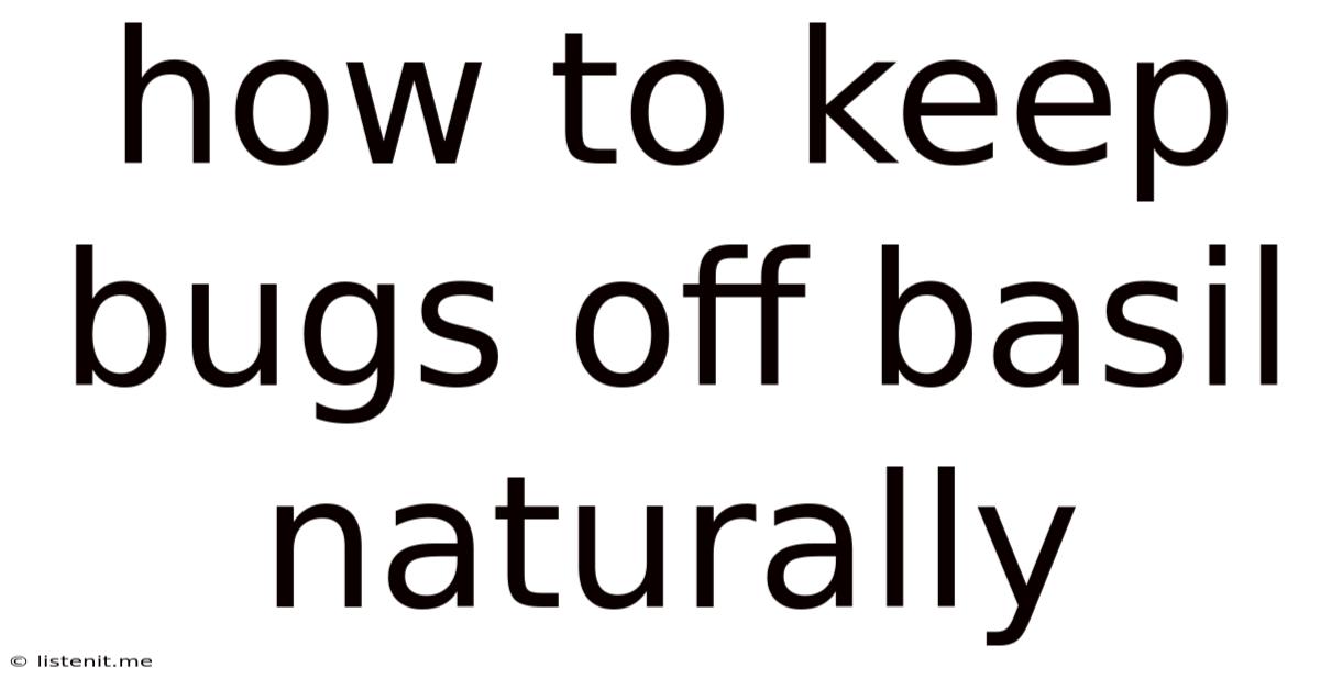 How To Keep Bugs Off Basil Naturally