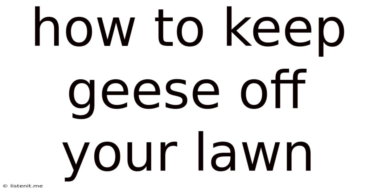 How To Keep Geese Off Your Lawn