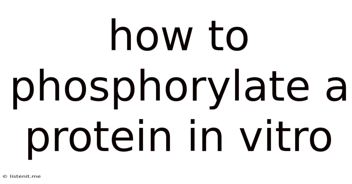 How To Phosphorylate A Protein In Vitro