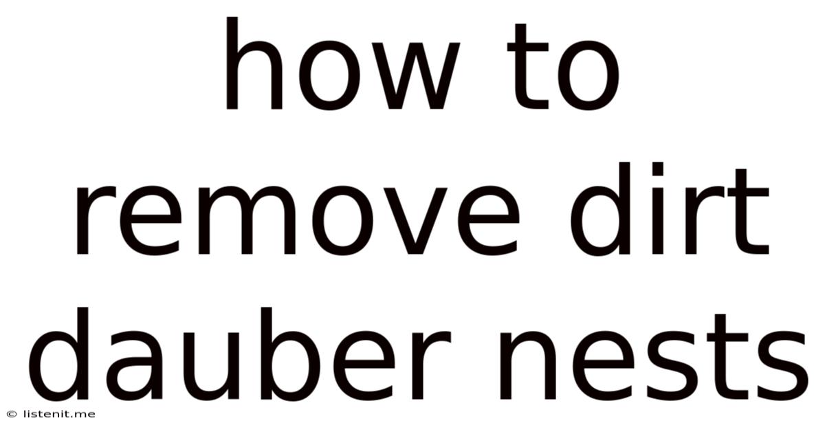 How To Remove Dirt Dauber Nests