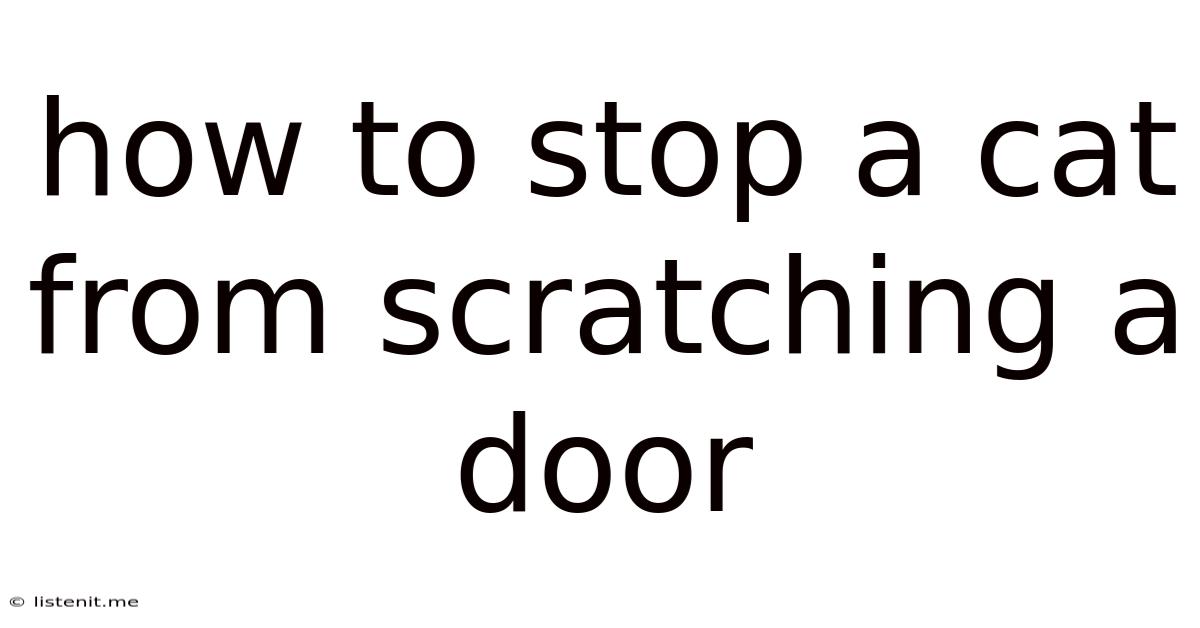 How To Stop A Cat From Scratching A Door