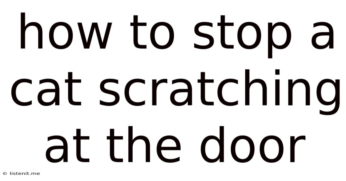 How To Stop A Cat Scratching At The Door