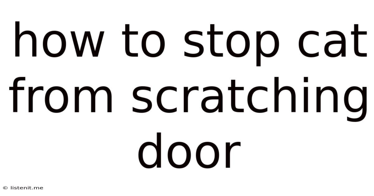 How To Stop Cat From Scratching Door
