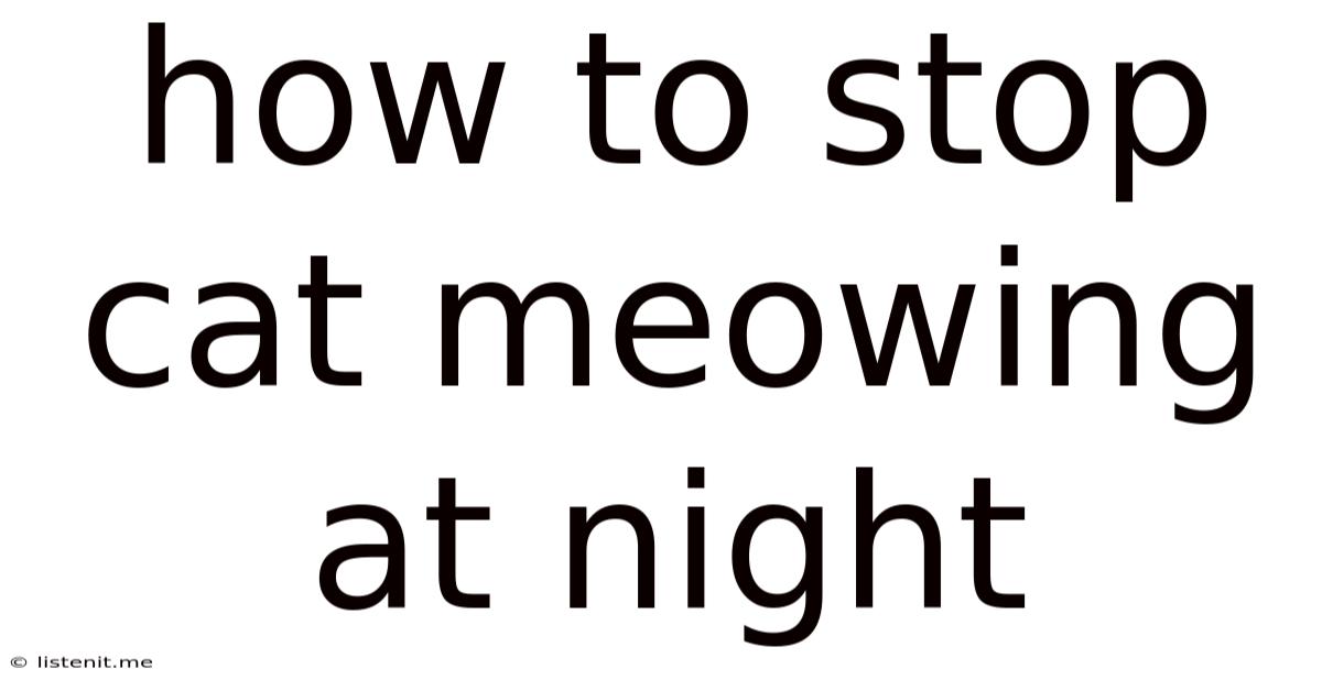 How To Stop Cat Meowing At Night