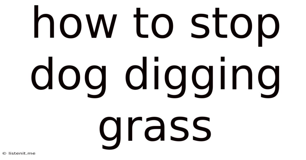 How To Stop Dog Digging Grass