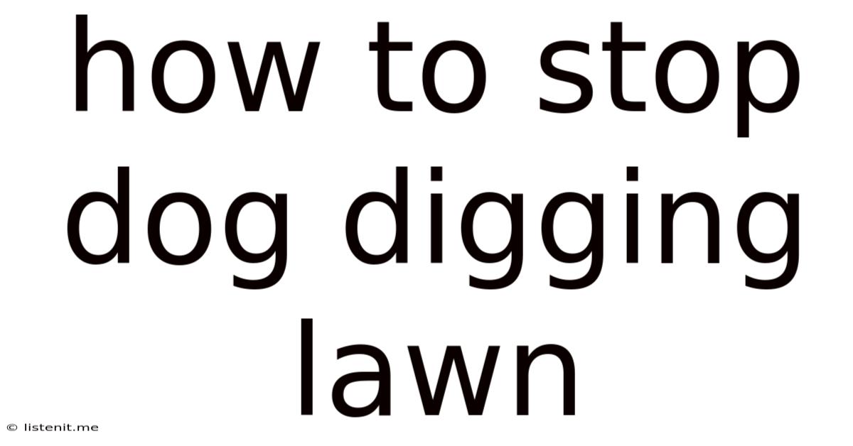 How To Stop Dog Digging Lawn