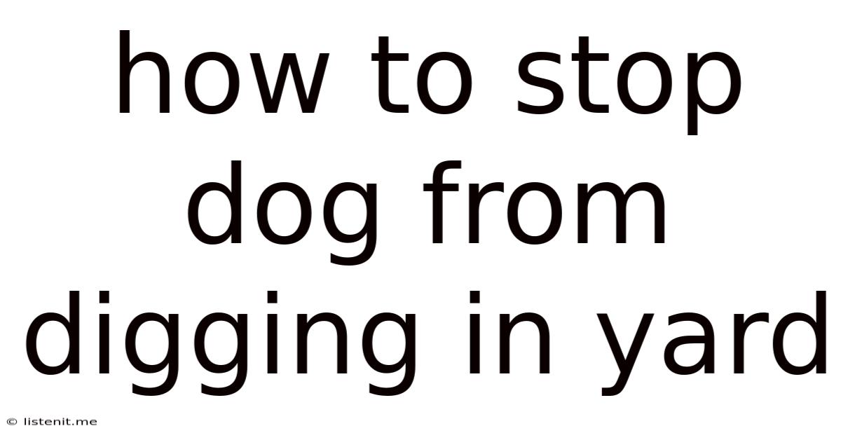 How To Stop Dog From Digging In Yard