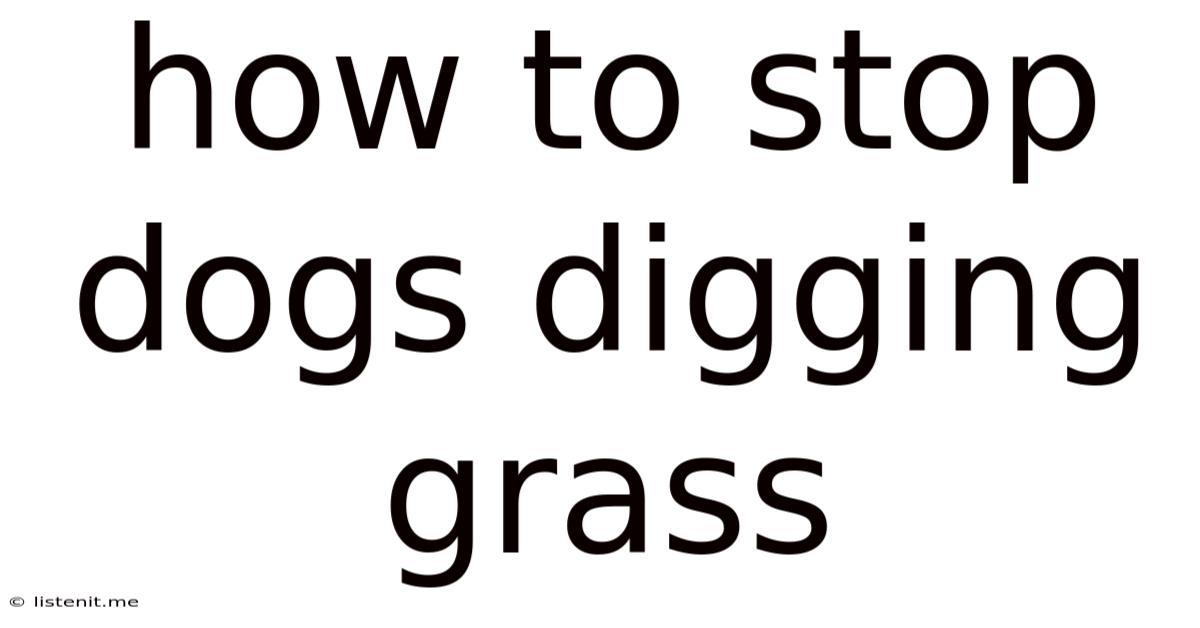How To Stop Dogs Digging Grass
