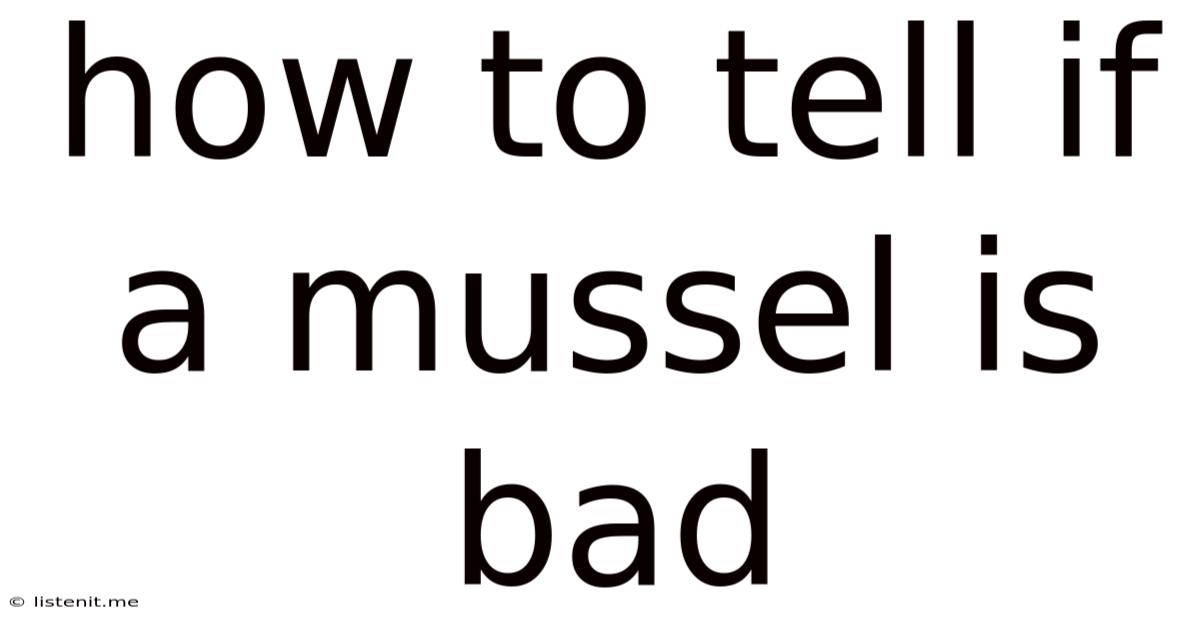 How To Tell If A Mussel Is Bad