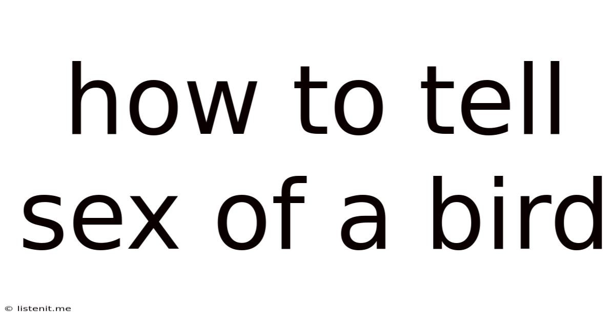 How To Tell Sex Of A Bird