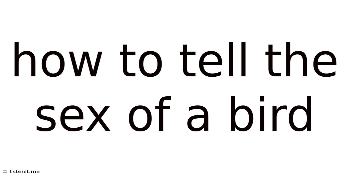 How To Tell The Sex Of A Bird