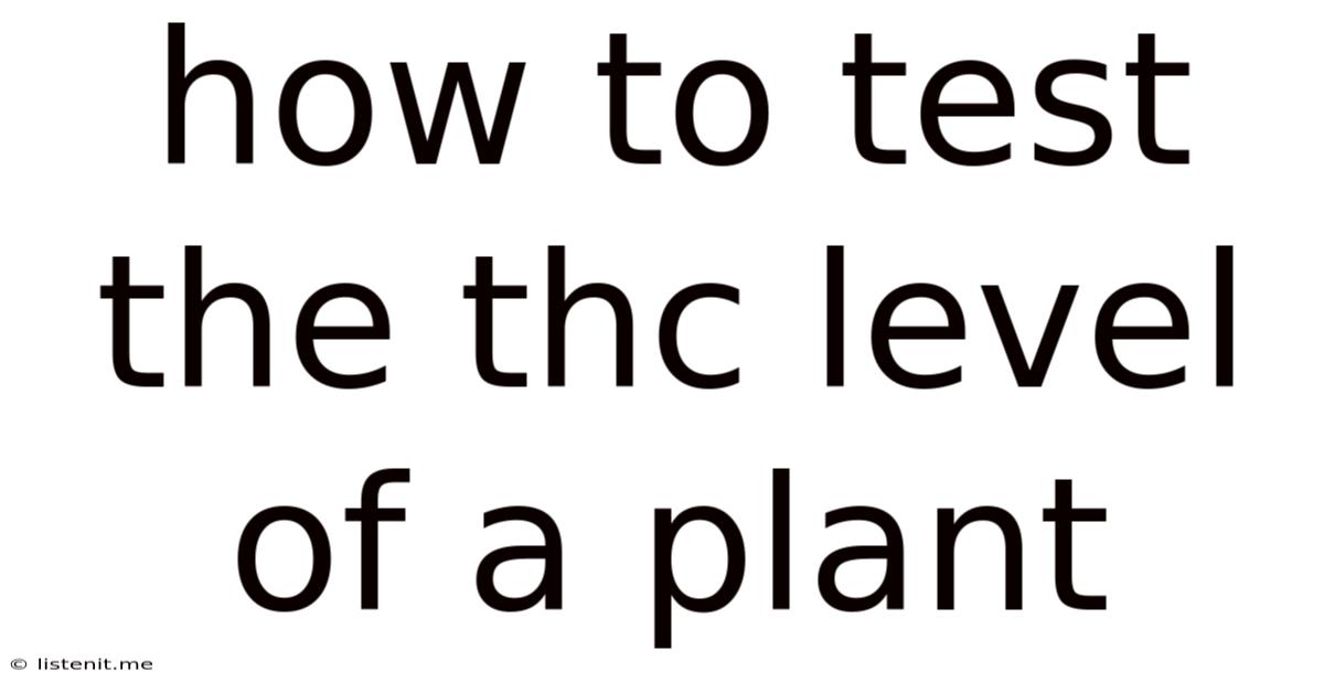 How To Test The Thc Level Of A Plant