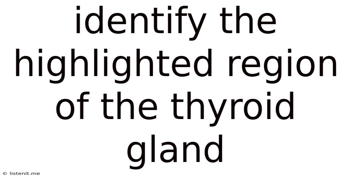Identify The Highlighted Region Of The Thyroid Gland