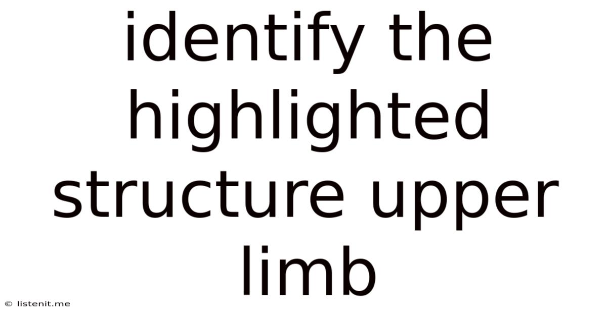 Identify The Highlighted Structure Upper Limb