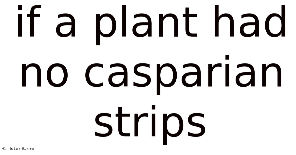 If A Plant Had No Casparian Strips