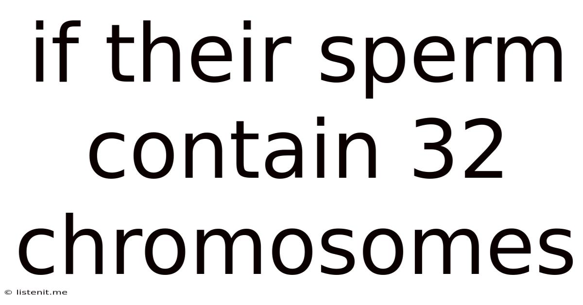 If Their Sperm Contain 32 Chromosomes