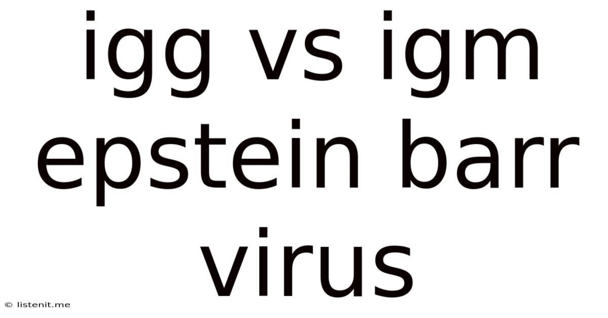 Igg Vs Igm Epstein Barr Virus