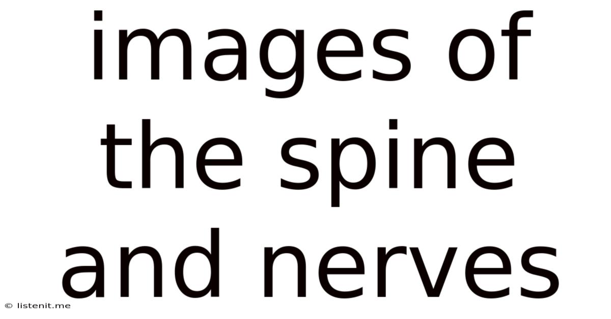 Images Of The Spine And Nerves