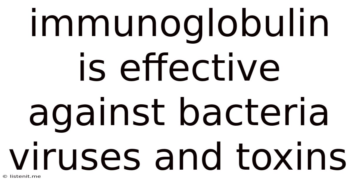 Immunoglobulin Is Effective Against Bacteria Viruses And Toxins