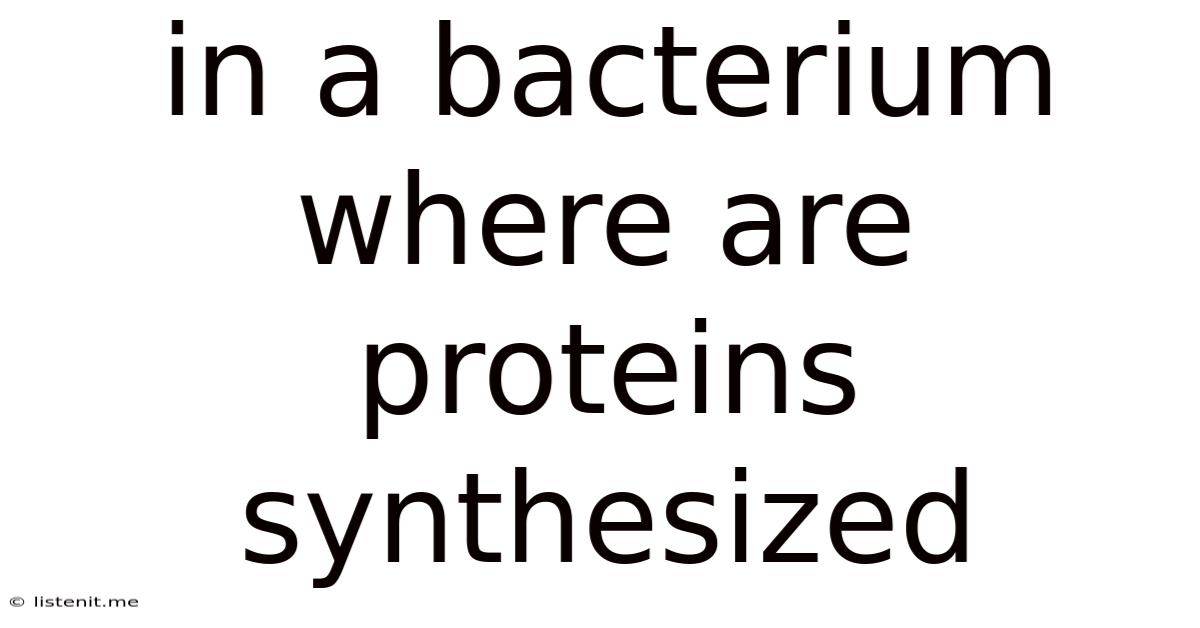In A Bacterium Where Are Proteins Synthesized