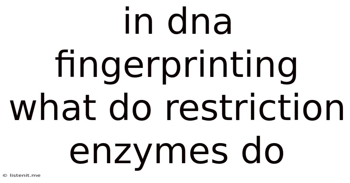 In Dna Fingerprinting What Do Restriction Enzymes Do