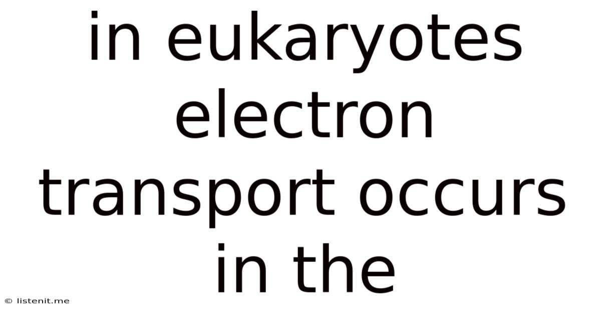 In Eukaryotes Electron Transport Occurs In The