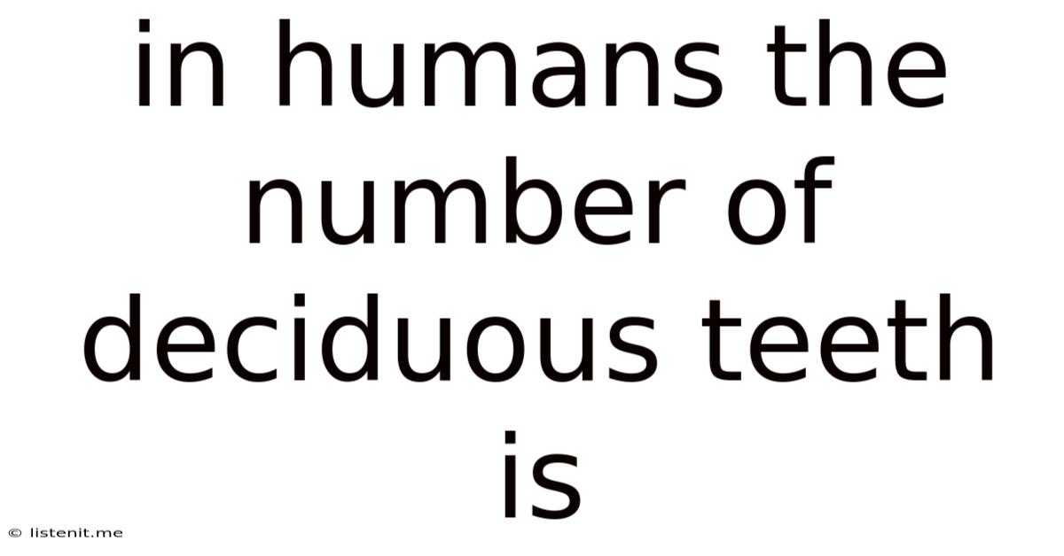 In Humans The Number Of Deciduous Teeth Is