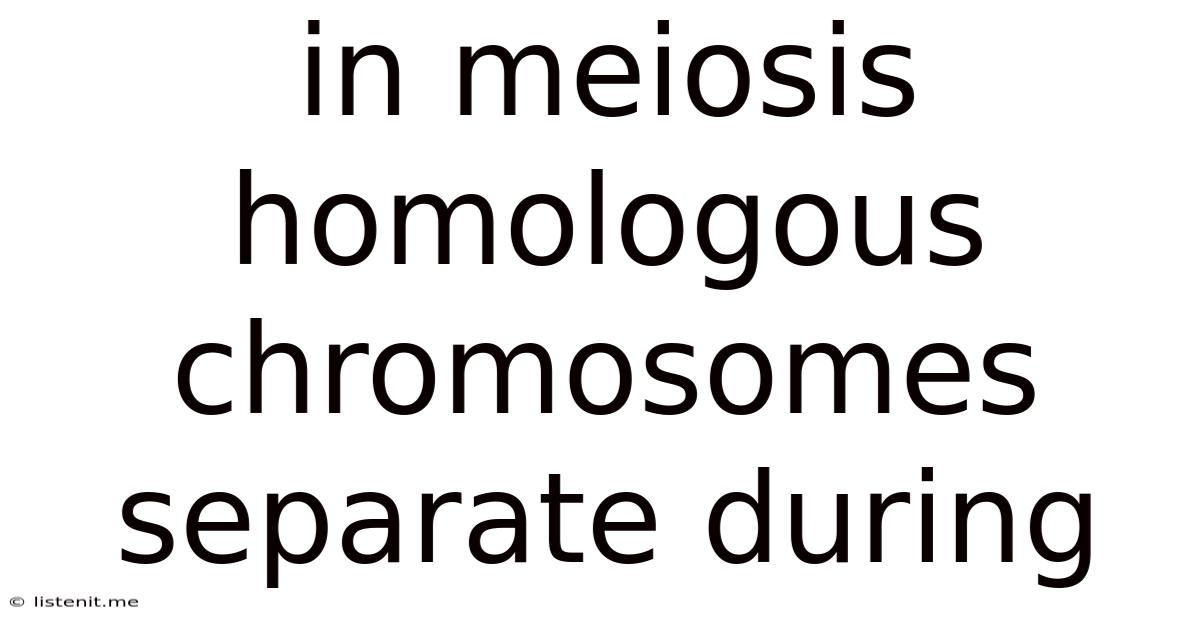 In Meiosis Homologous Chromosomes Separate During