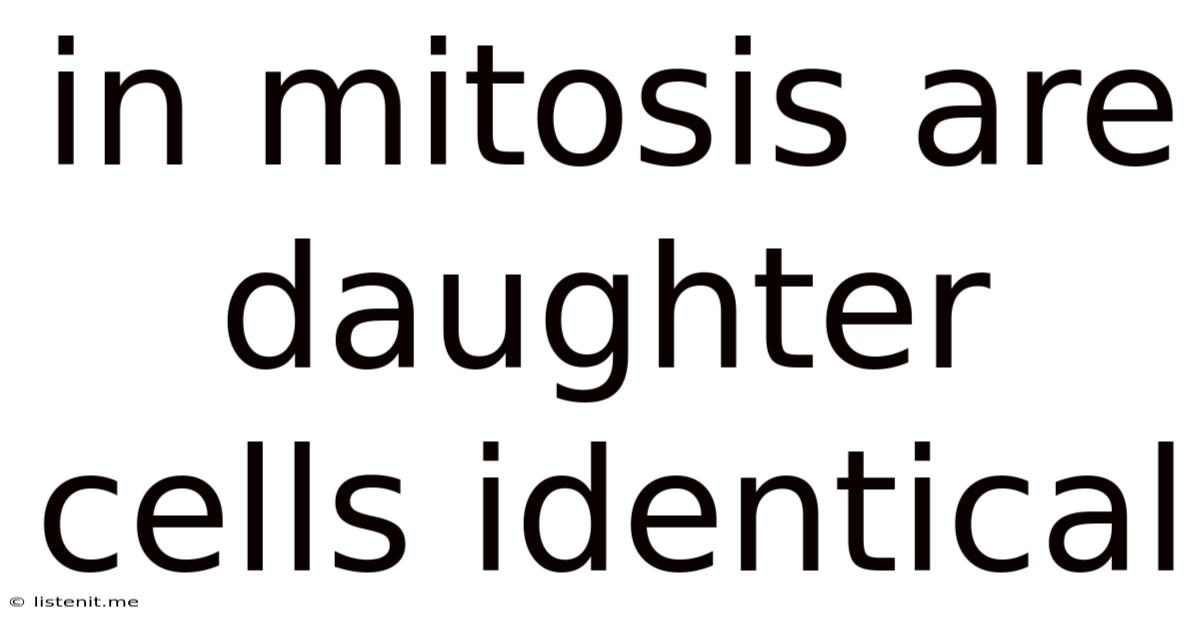 In Mitosis Are Daughter Cells Identical