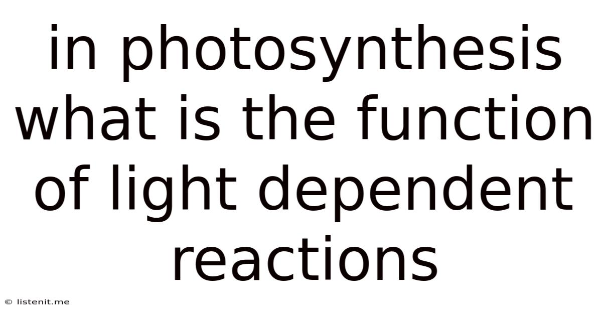 In Photosynthesis What Is The Function Of Light Dependent Reactions