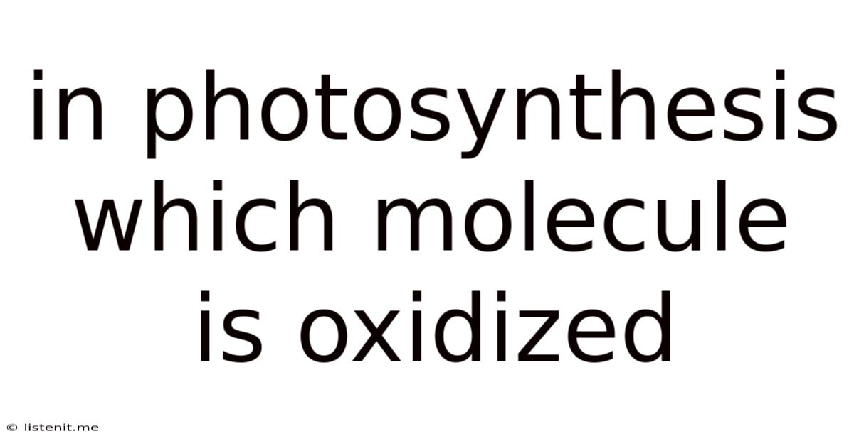 In Photosynthesis Which Molecule Is Oxidized