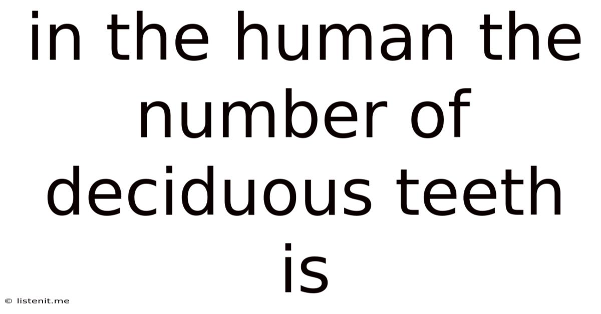 In The Human The Number Of Deciduous Teeth Is