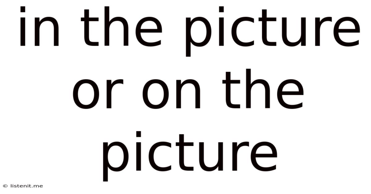 In The Picture Or On The Picture