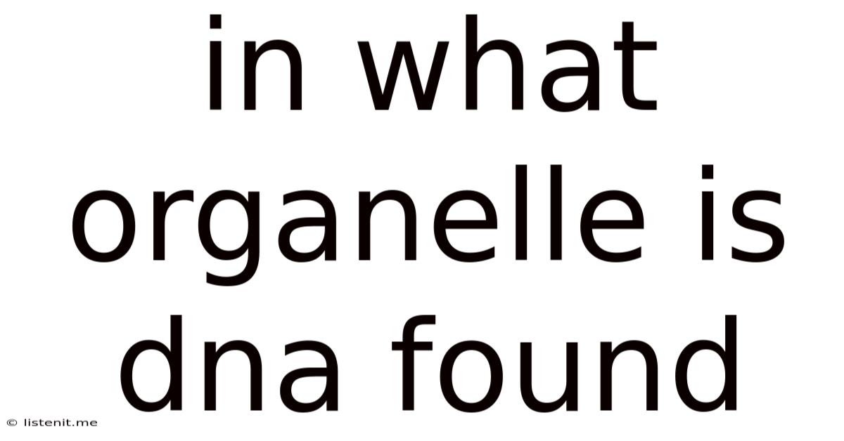 In What Organelle Is Dna Found