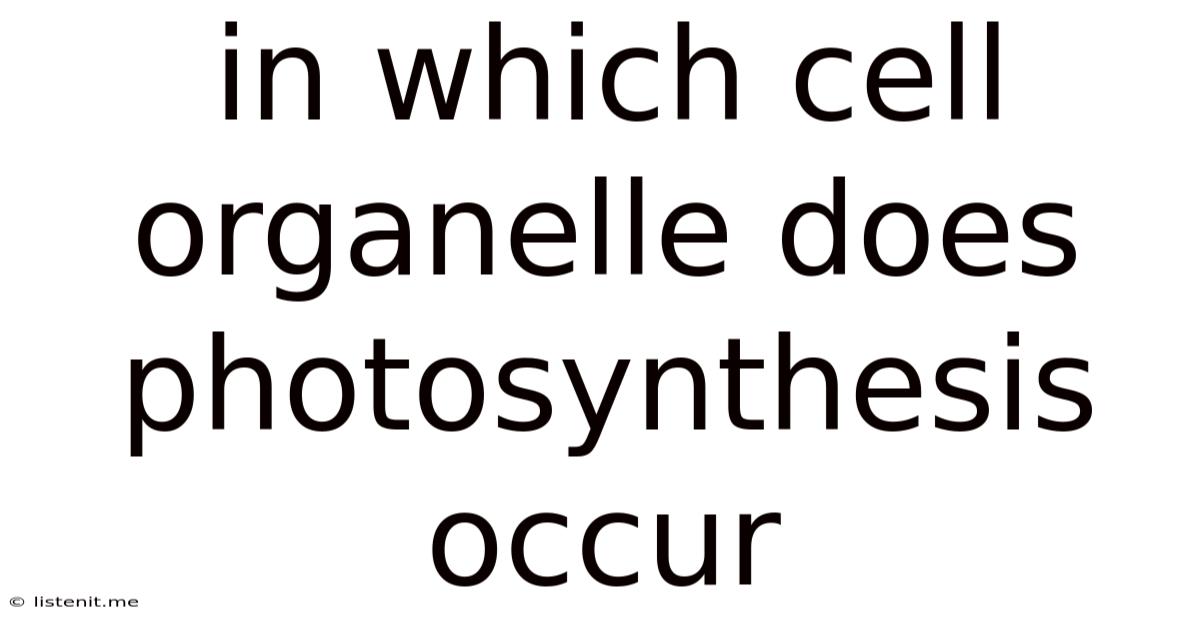 In Which Cell Organelle Does Photosynthesis Occur