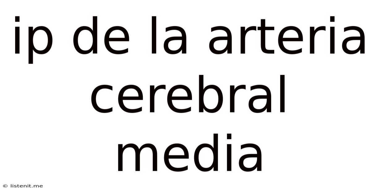 Ip De La Arteria Cerebral Media