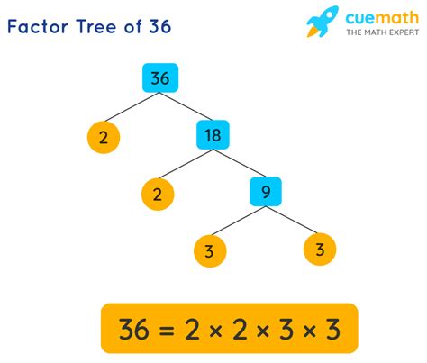 Is 36 A Prime Number Or Composite