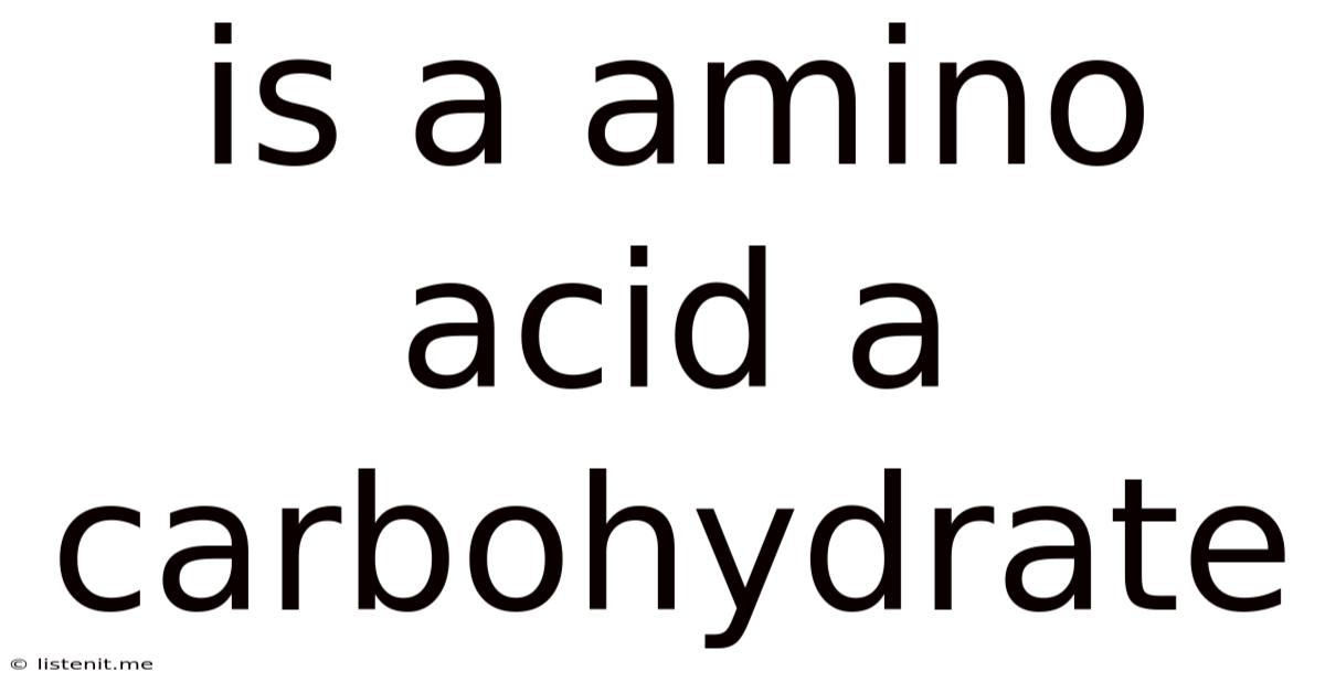Is A Amino Acid A Carbohydrate