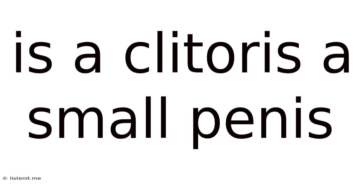 Is A Clitoris A Small Penis