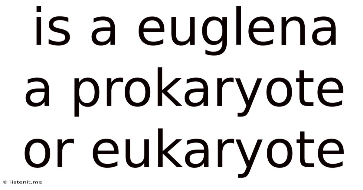 Is A Euglena A Prokaryote Or Eukaryote