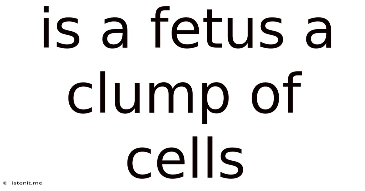 Is A Fetus A Clump Of Cells