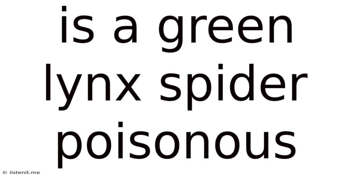 Is A Green Lynx Spider Poisonous