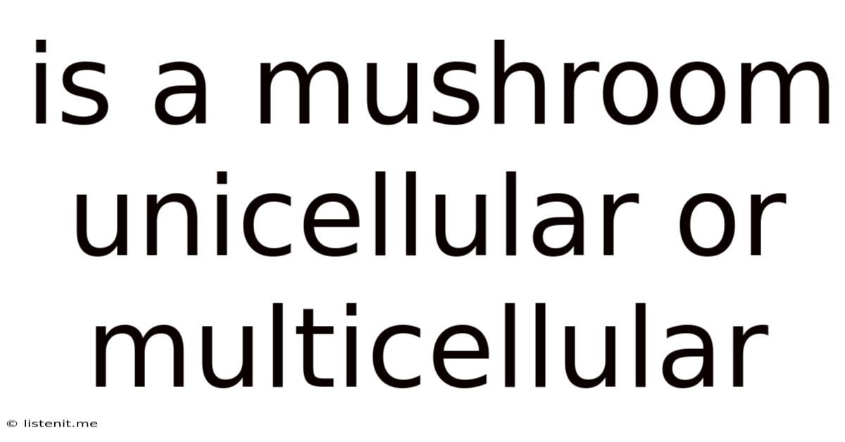 Is A Mushroom Unicellular Or Multicellular