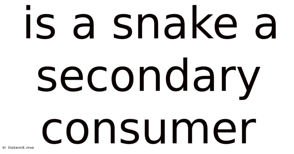 Is A Snake A Secondary Consumer
