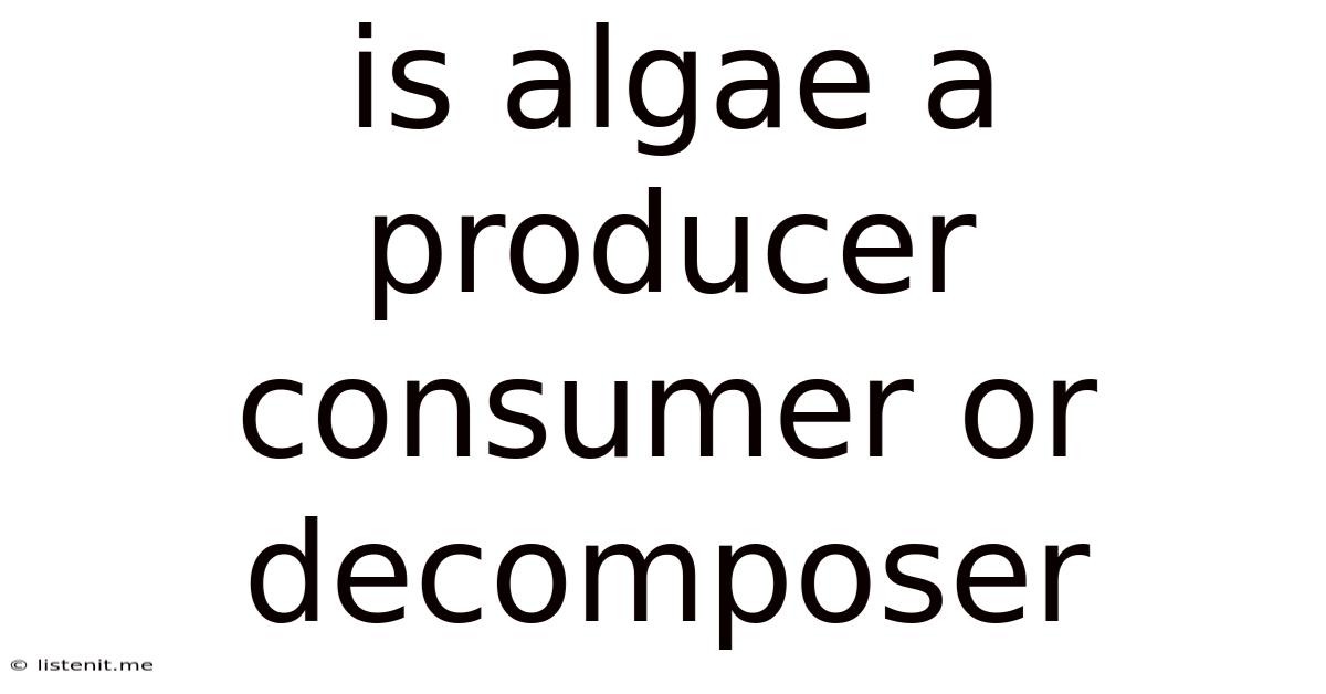 Is Algae A Producer Consumer Or Decomposer